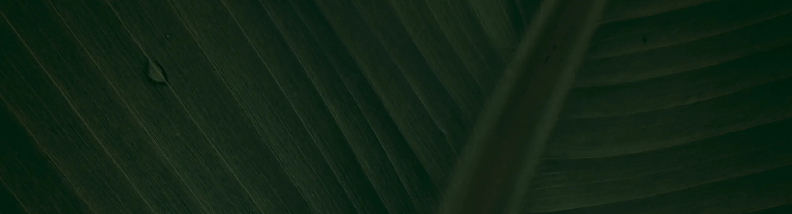 Arroz integral com Carne moída e legumes - Kit com 5 marmitas 300gr